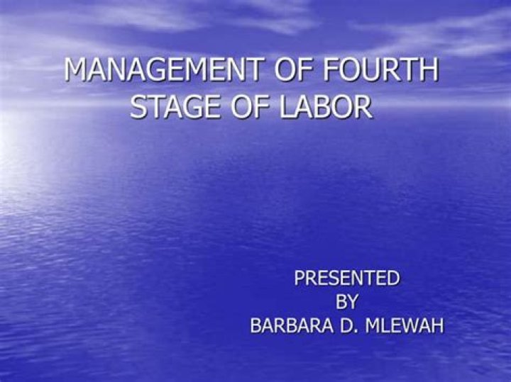 Management of Fourth Stage of Labour: Essential PDF Guide