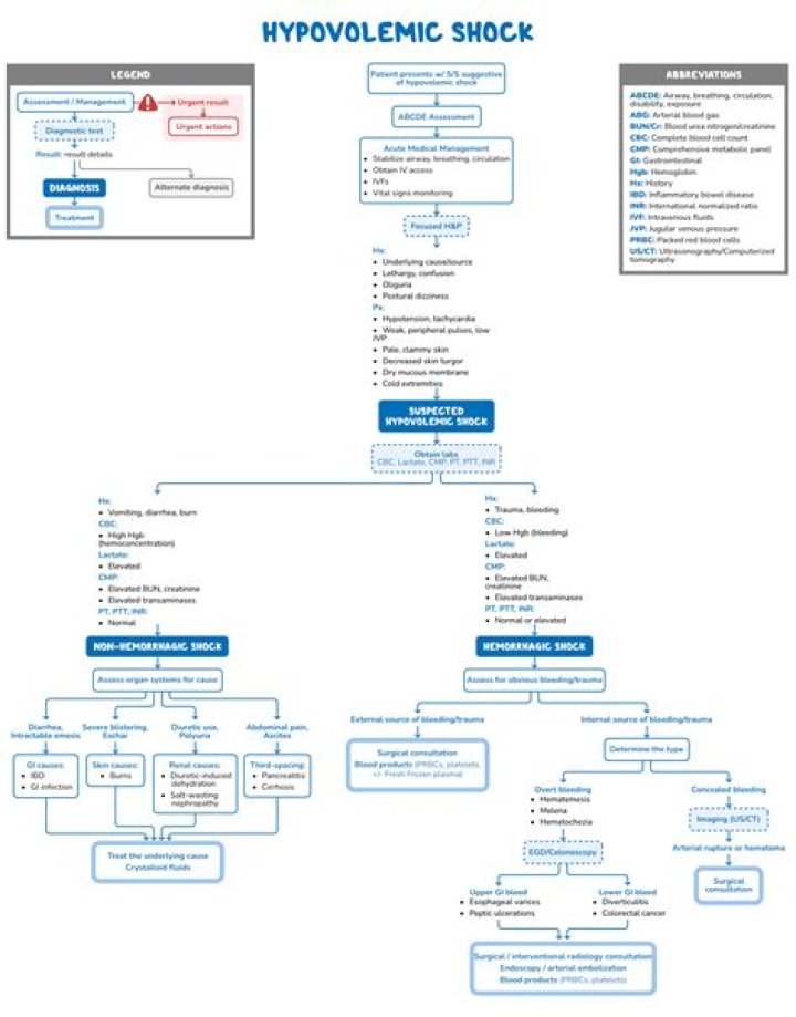 Management of Hypovolemic Shock: A Comprehensive PDF Guide