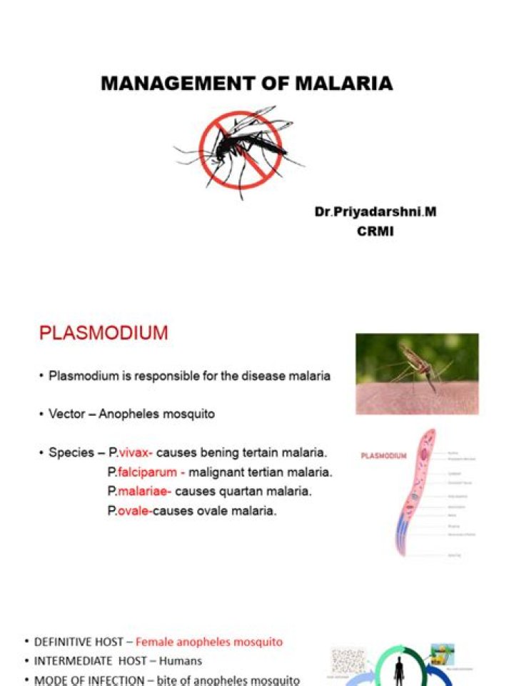 Effective Management of Malaria: Essential PDF Guide
