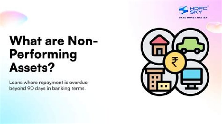 Mastering Non-Performing Loans Management and Recovery Strategies PDF