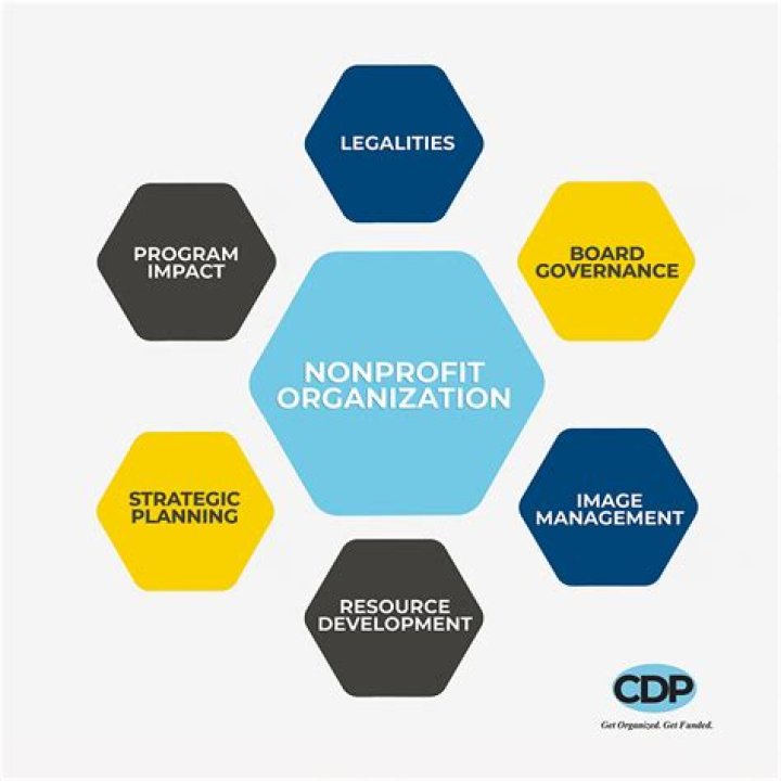 Effective Management of Non-Profit Organizations: A Comprehensive PDF Guide