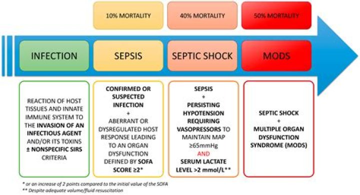 Comprehensive Guide to the Management of Sepsis and Septic Shock – PDF Download