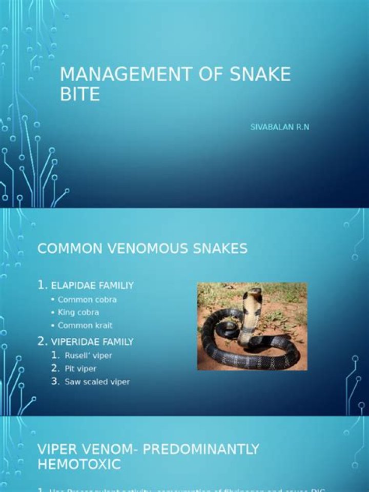 Comprehensive Management of Snake Bite PDF: Life-Saving First Aid & Treatment Guide