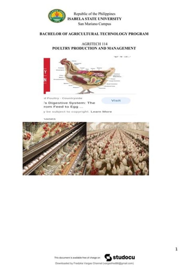 Effective Management Practices in Poultry Production PDF Guide