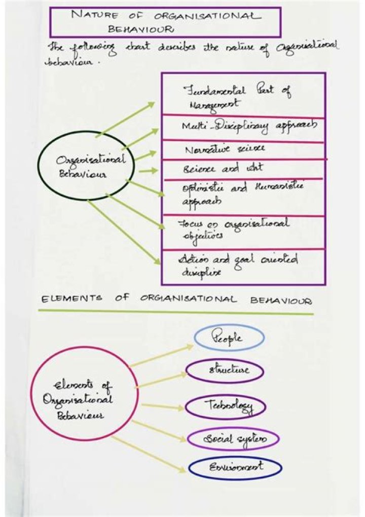 Master the Management Process and Organisational Behaviour: Comprehensive MBA Notes PDF