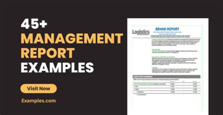 Free Management Report Example PDF for Easy Download