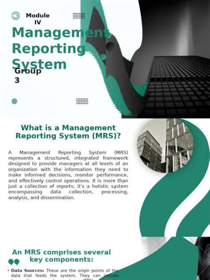 Efficient Management Reporting System PDF for Seamless Business Insights