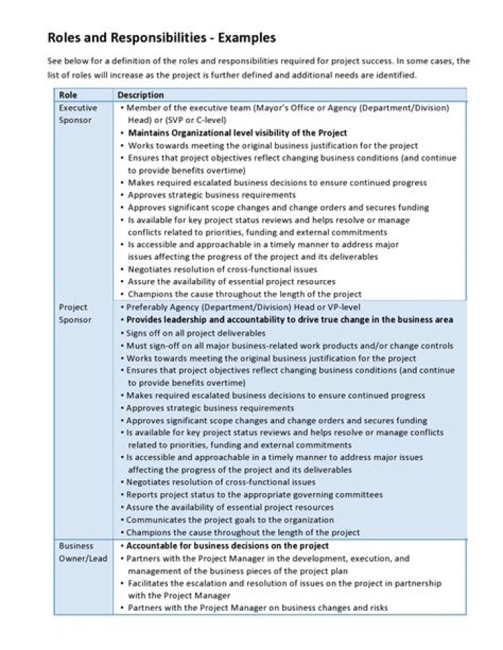 Management Representative Roles and Responsibilities: Essential PDF Guide