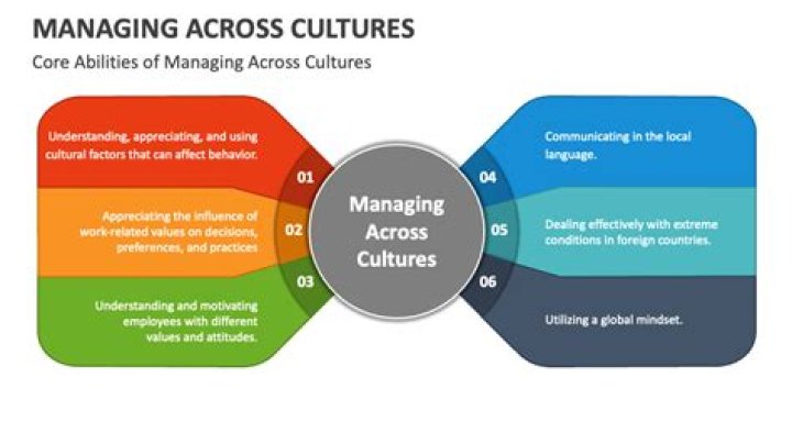 Mastering Cross-Cultural Leadership: A Schneider-Based PDF Guide