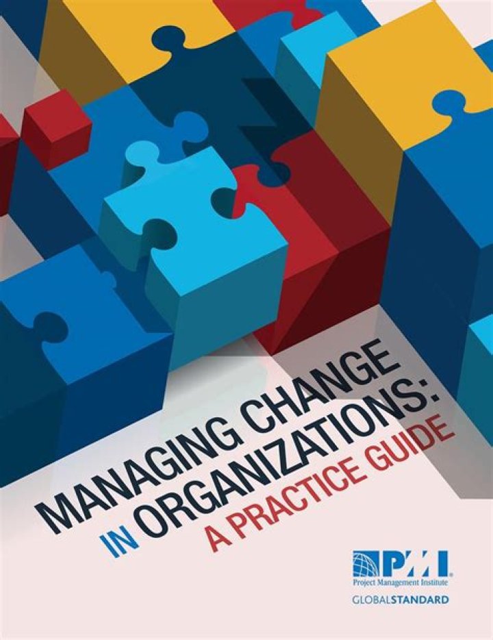 Managing Change in Organizations: A Practical Guide PDF