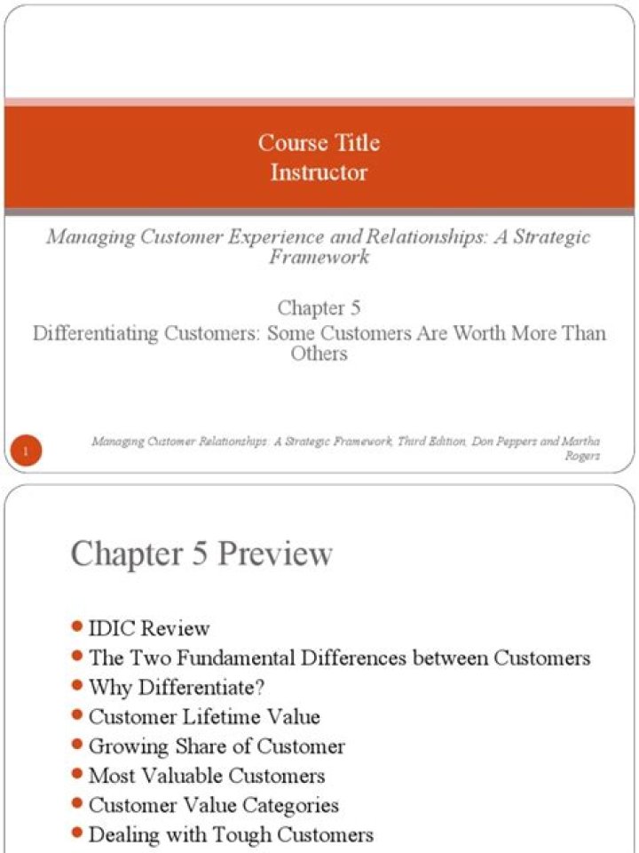 Mastering Customer Experience and Relationships: A Strategic Framework PDF