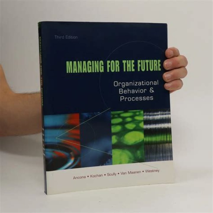 Managing for the Future: Organizational Behavior & Future-Ready Processes PDF