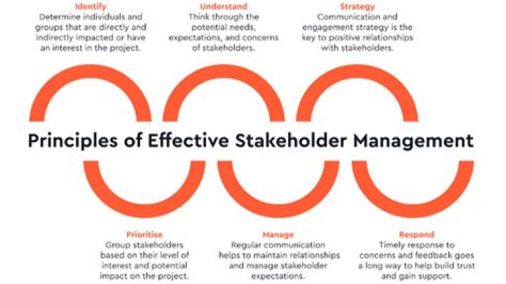 Mastering Stakeholder Relationships: A Practical PDF Guide