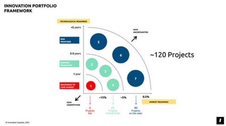 Managing Your Innovation Portfolio PDF: Maximize Growth & Efficiency