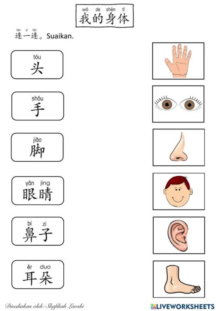 Free Mandarin Worksheet for Preschool PDF – Printable Learning Activity