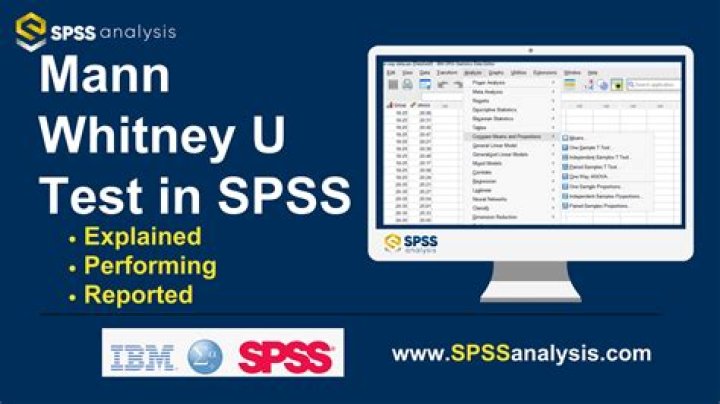 How to Interpret Mann-Whitney U Test in SPSS – PDF Guide