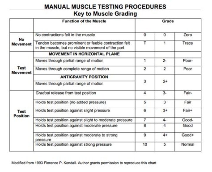 Manual Muscle Testing Grades PDF – Expert Guide & Grade Reference