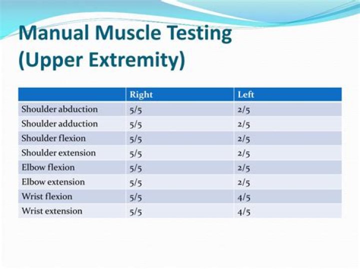 Manual Muscle Testing Upper Extremity PDF Guide