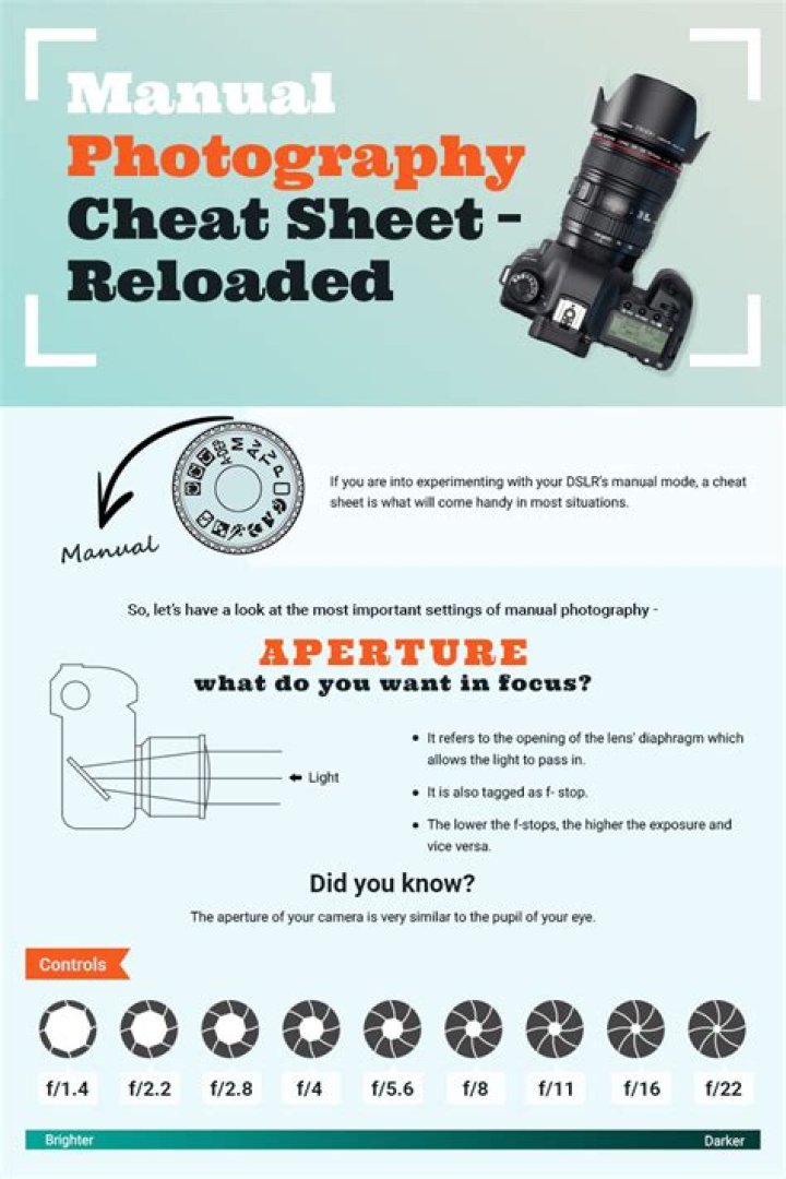 Manual Photography Cheat Sheet PDF – Quick Reference for Enthusiasts