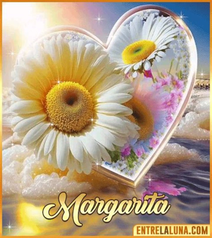 margarita GIF PrimoGIF