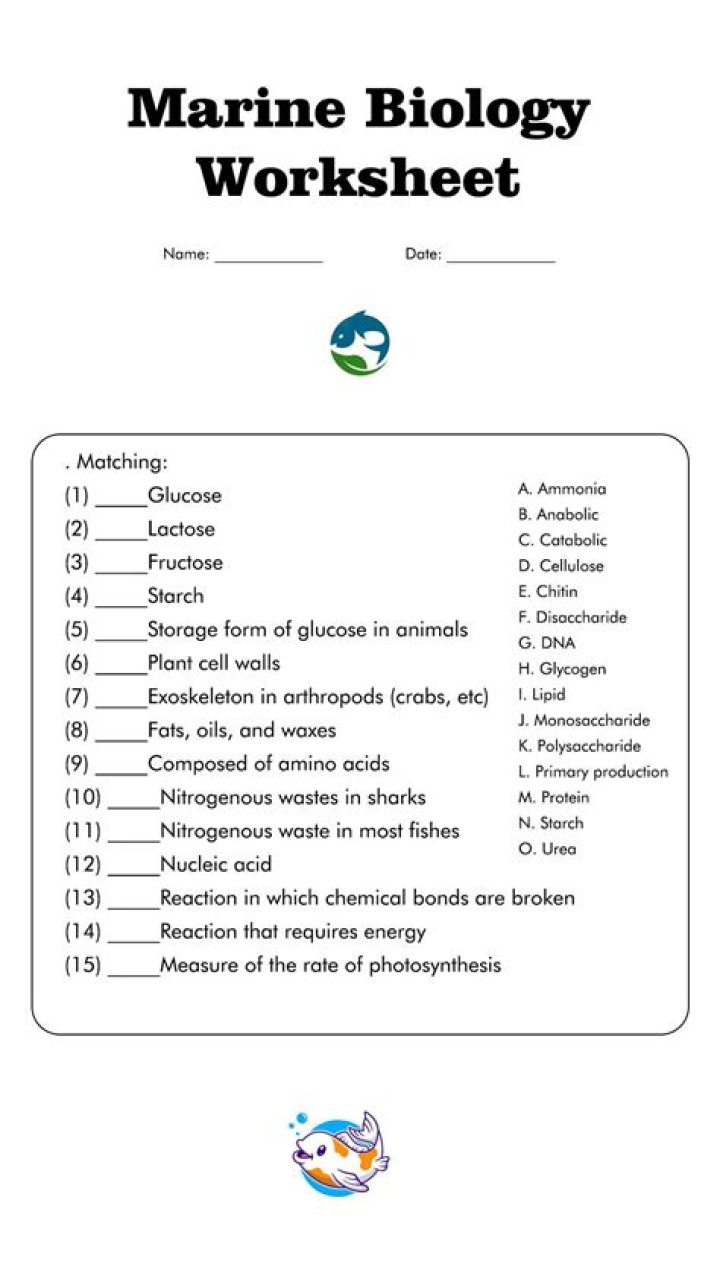 Marine Biology Quiz with Answers PDF – Test Your Ocean Knowledge