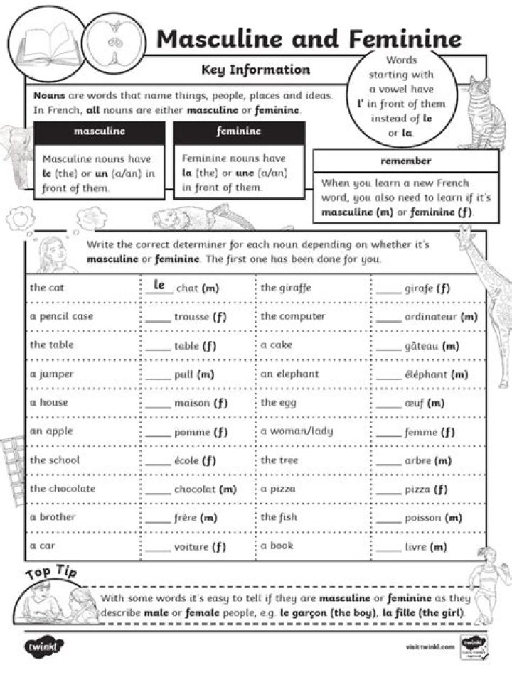 Masculine and Feminine French Worksheet PDF for Language Learners