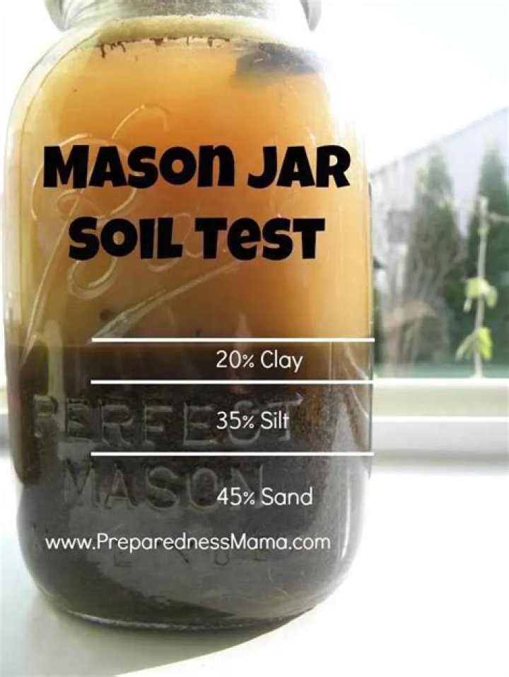 How to Test Your Soil with a Mason Jar: PDF Guide