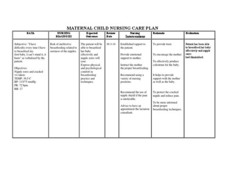 Comprehensive Maternal Nursing Care Plan PDF Guide