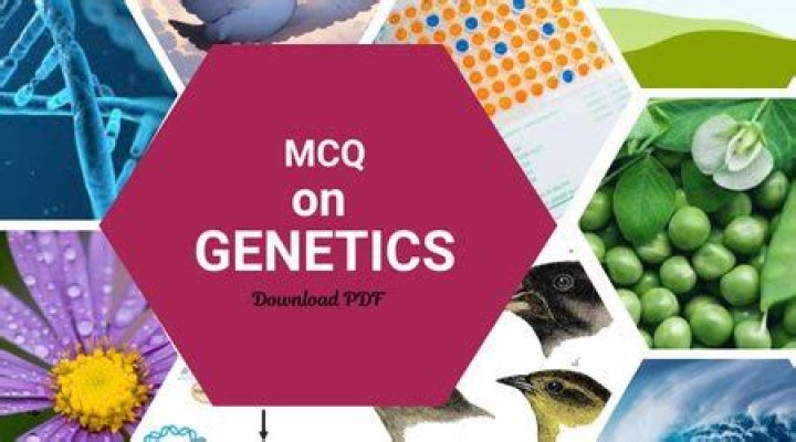 MCQ on Genetics with Answers PDF – Perfect Study Resource