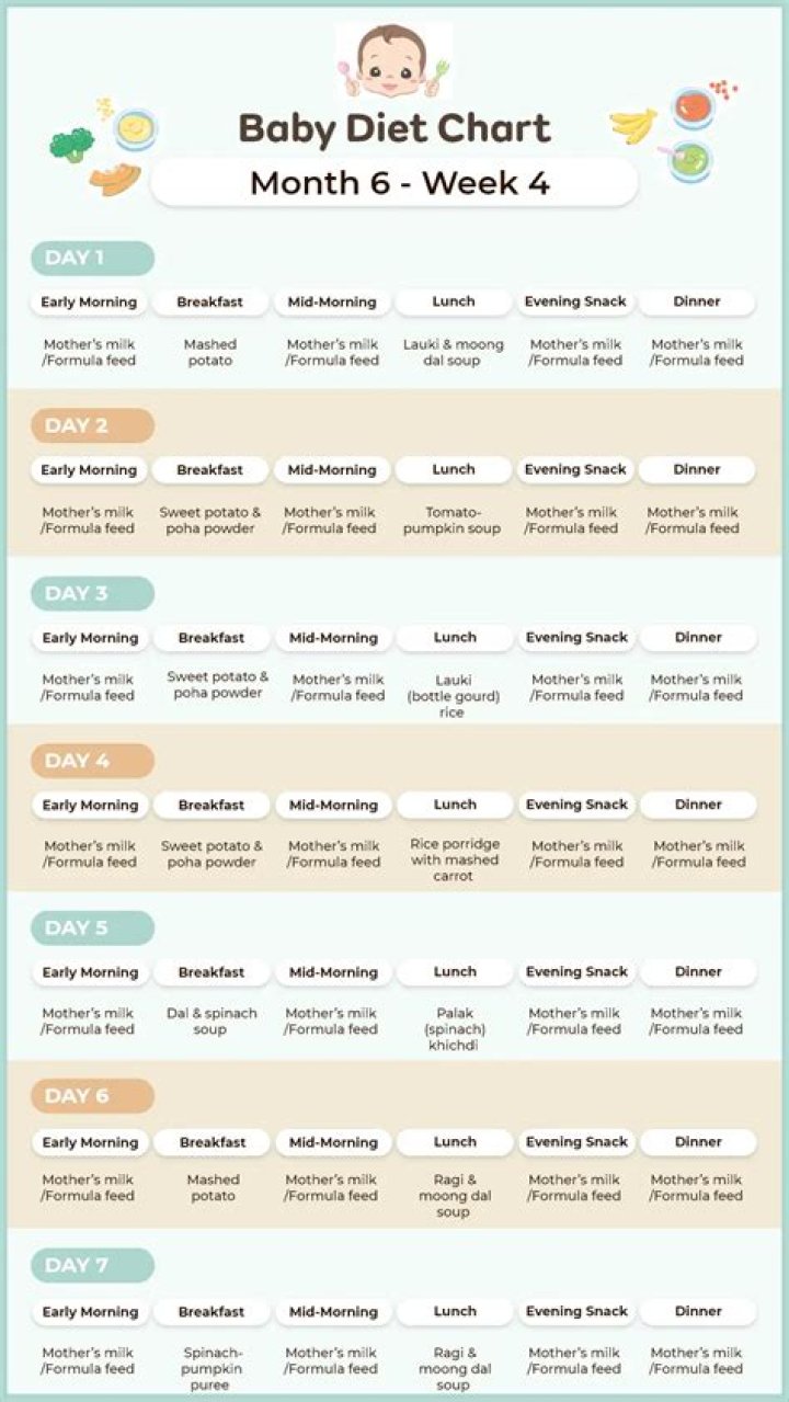 6-Month Old Baby Meal Plan PDF – Easy & Nutritious Recipes