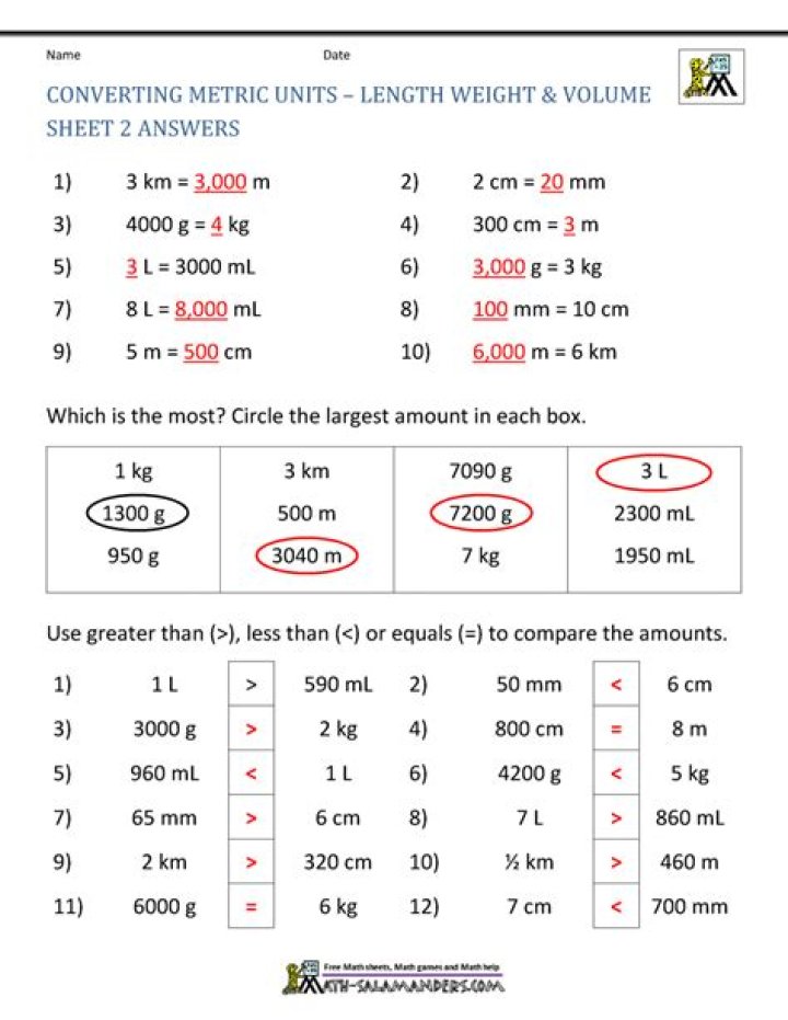 Measurement Questions and Answers PDF: Expert Guide