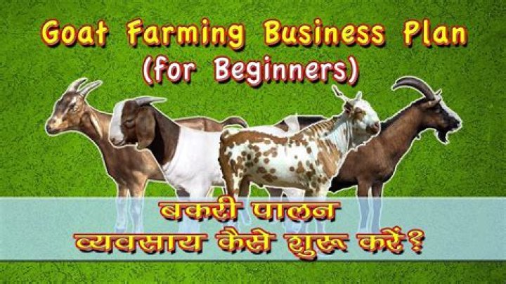 Meat Goat Farming Business Plan PDF: Step-by-Step Guide