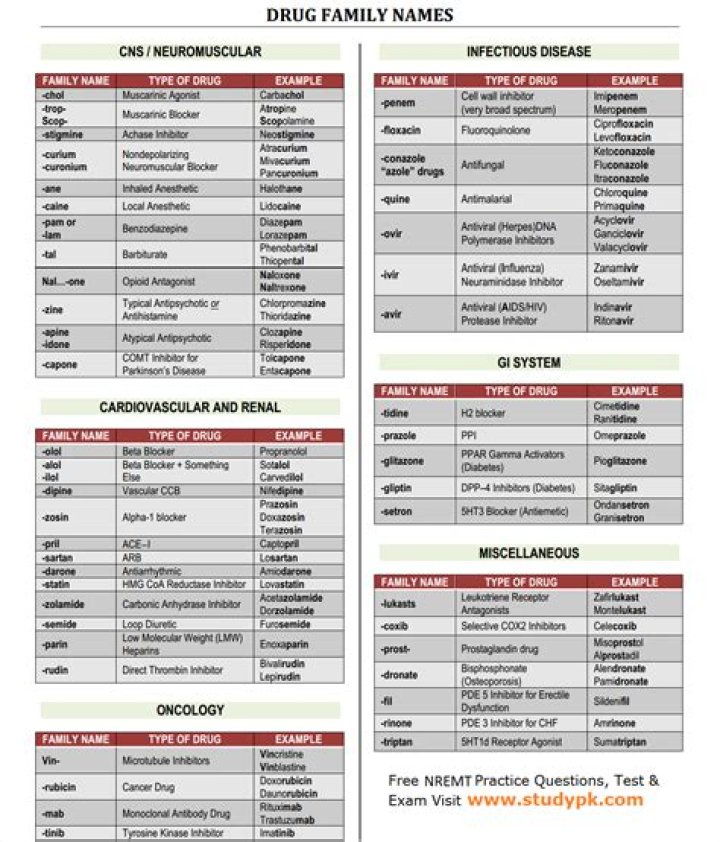 Comprehensive Medical Drugs List PDF for Safe Medication Reference