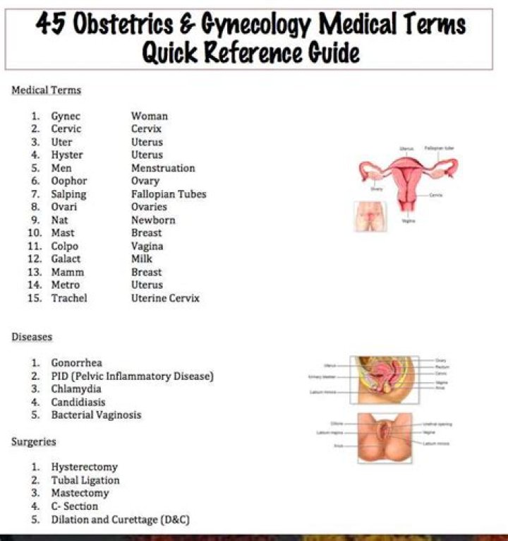 Medical-Surgical Nursing 7th Edition Answer Key PDF Study Guide