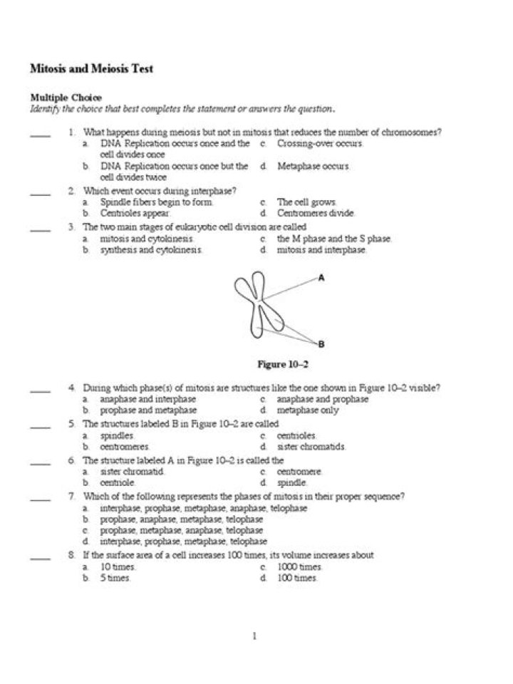 Meiosis and Mitosis Test PDF: Accurate Cell Division Analysis