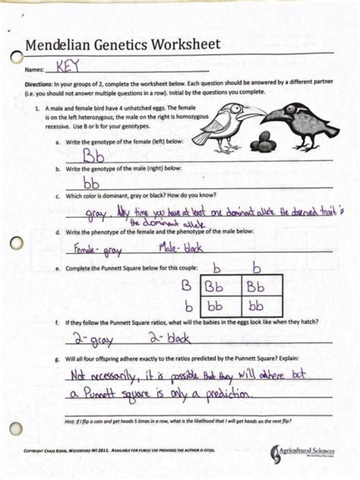 Mendelian Genetics PDF Answer Key: Perfect Study Guide