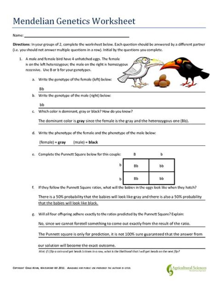 Mendelian Genetics Test PDF: Understand Inheritance Patterns Now