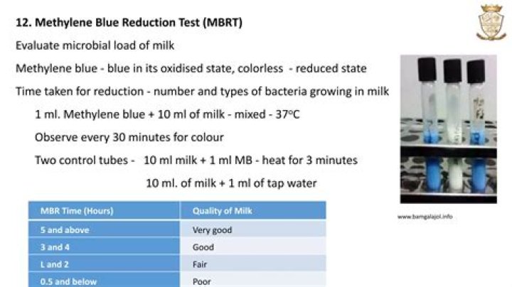 Methylene Blue Milk Test Procedure: PDF Guide & Analysis