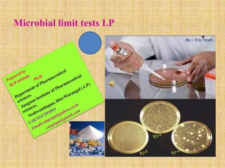 Microbial Limit Test for Pharmaceutical Products: Essential PDF Guidelines