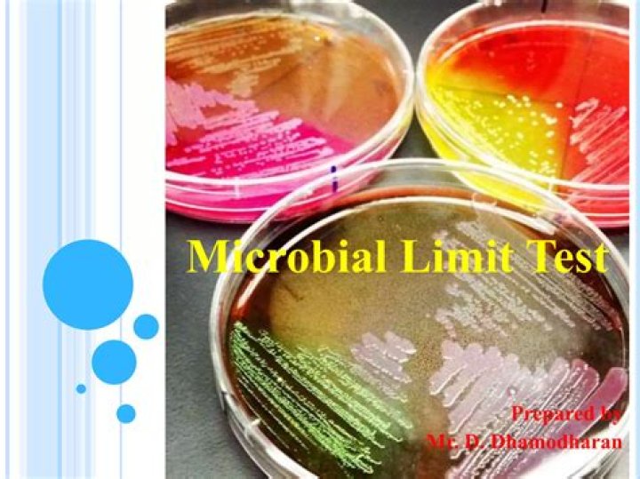 Microbial Limit Test PDF: Essential Compliance Guide