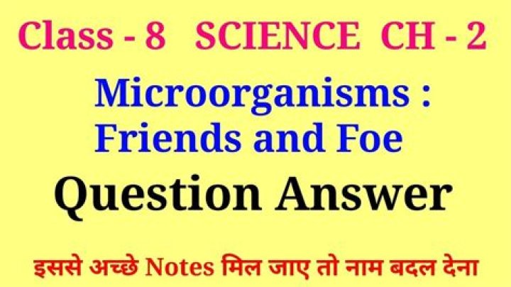 Microorganisms Questions & Answers: Expert PDF Guide