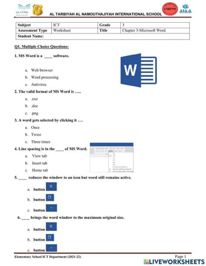 Microsoft Word Worksheet PDF: Free Downloadable Templates