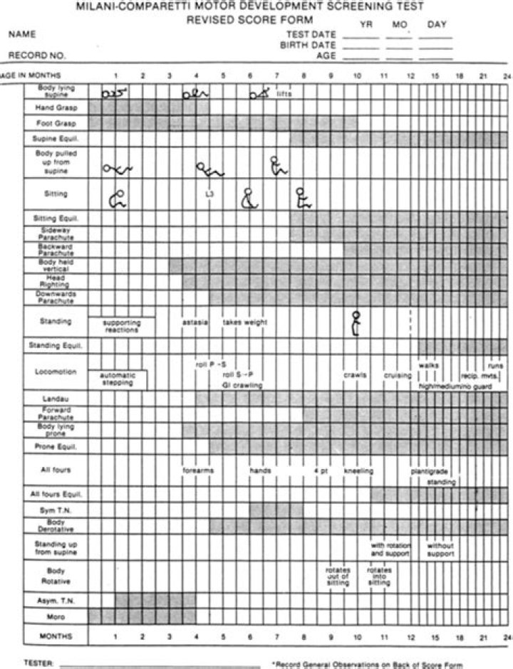 Milani Comparetti Motor Development Screening Test PDF: Full Results & Analysis