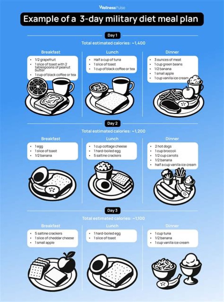 Military Diet Meal Plan PDF: High-Performance Nutrition for Combat Readiness