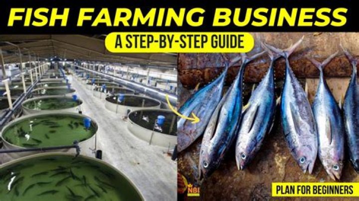 Milkfish Farming Business Plan PDF: Grow Your Aquaculture Venture