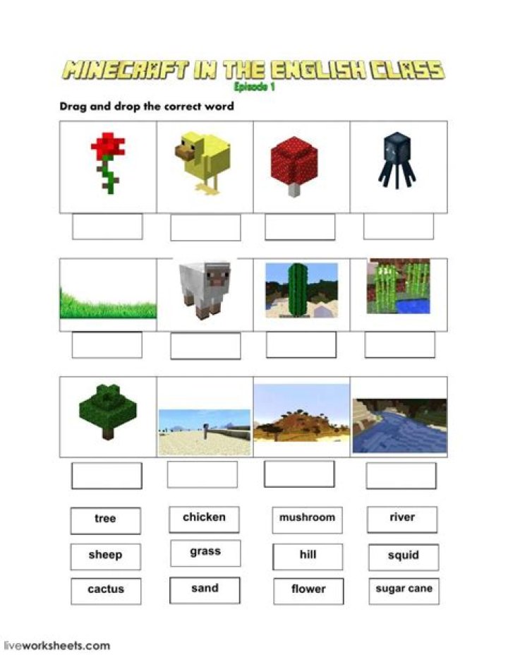 Free Minecraft Worksheets PDF for Creative Learning
