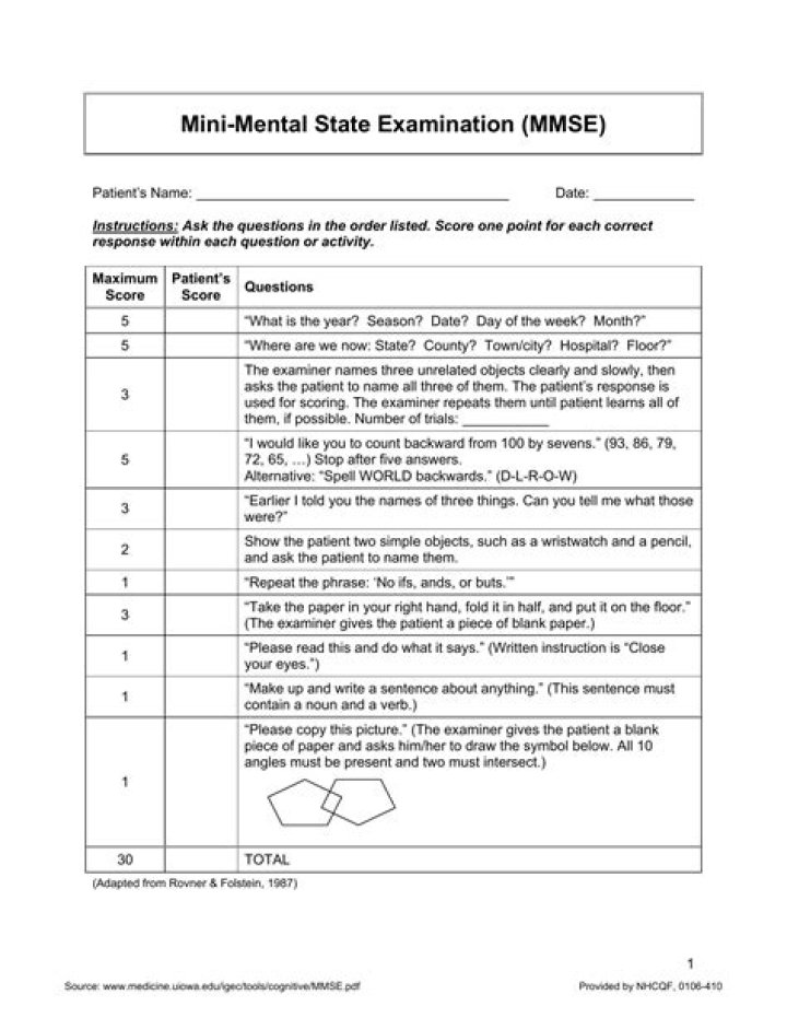 Mini Cognitive Test PDF: Quick Brain Function Assessment