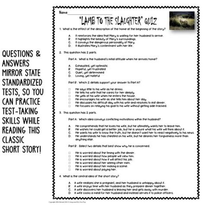 Mirror Image Story Questions and Answers PDF – Solve & Reflect