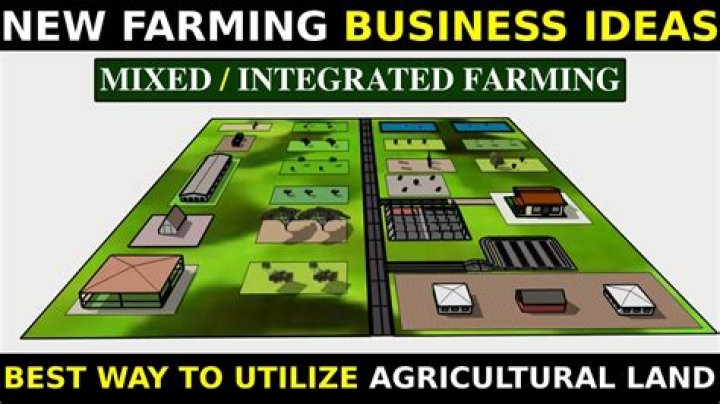 Mixed Farming Business Plan PDF: Step-by-Step Guide & Template
