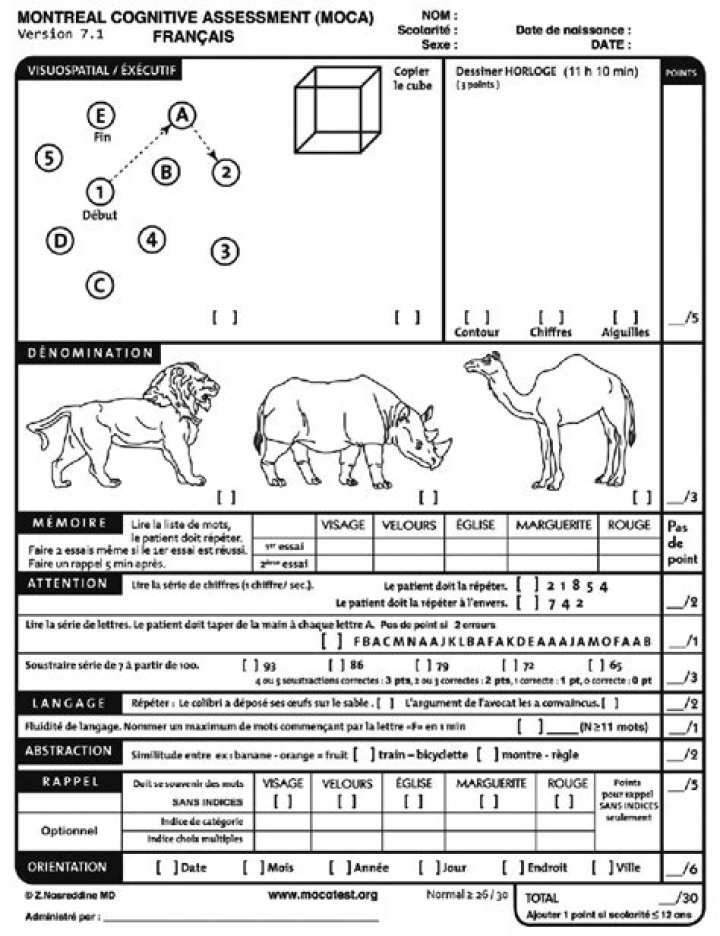 Moca Testing PDF Guide: How to Use Moca for Reliable Document Testing